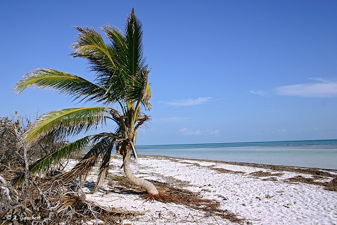 Bahia Honda